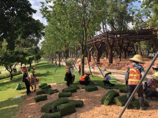 眉山园林绿化工程资料代做