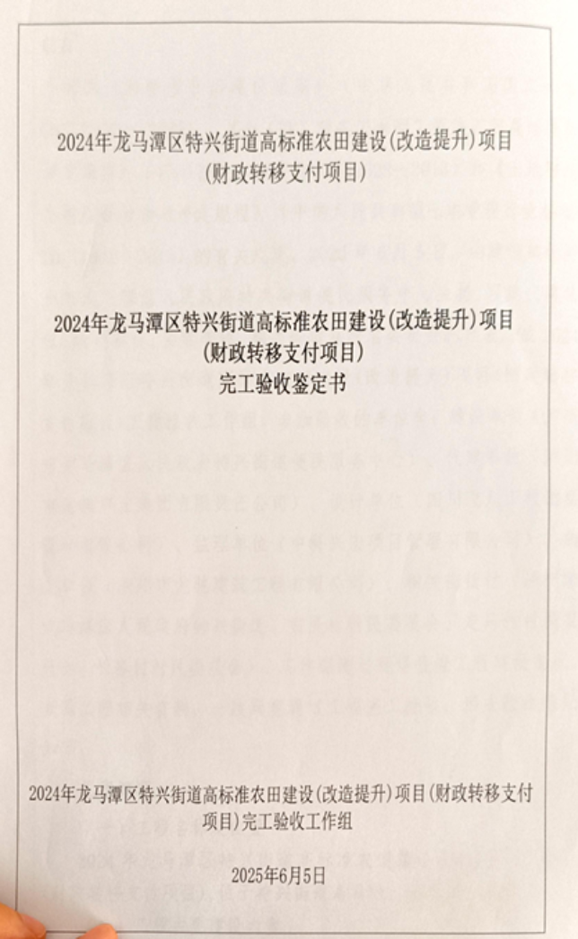 眉山特兴镇高标准农田建设项目